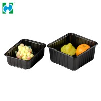 Custom small disposable plastic food tray